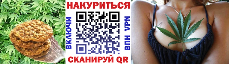 Canna-Cookies марихуана  MEGA зеркало  Ивдель 